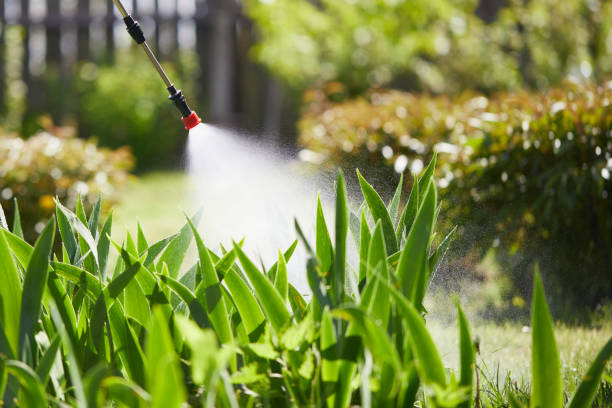 24/7 Emergency Rodent Control experts in Napili-Honokowai, HI